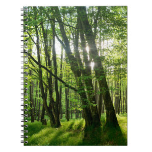 Caderno Espiral Der Wald im Frühling