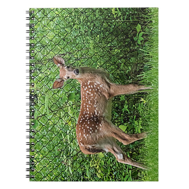 Caderno Espiral Descoberto em frente a uma cerca (Frente)