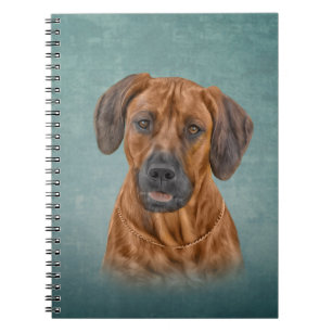 Caderno Espiral Desenhando Ridgeback da Rodésia