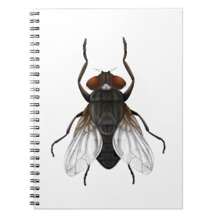 Caderno Espiral desenho animado