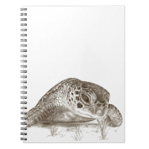 Caderno Espiral Desenho da tartaruga de mar verde