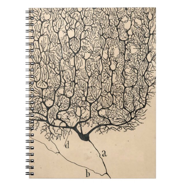 Caderno Espiral Desenho De Neuron Por Santiago Ramón Y Cajal (Frente)