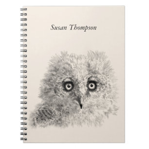 Caderno Espiral Desenho de Owlet excelente Corado