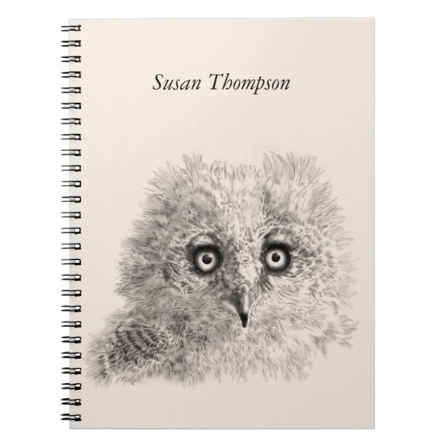 Caderno Espiral Desenho de Owlet excelente Corado (Frente)