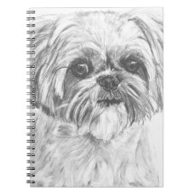 Desenho de Shih Tzu