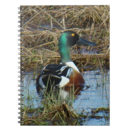 Caderno Espiral Desenho do Norte B26