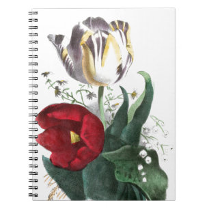 Caderno Espiral Desenho do vintage: Tulipas