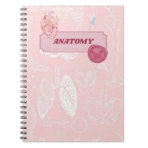 Desenho Estético de Anatomia Rosa para Estudante d