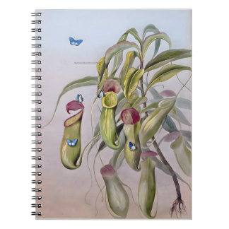 Caderno Espiral Desenhos de Plantas de Nepenthes, Aniversário