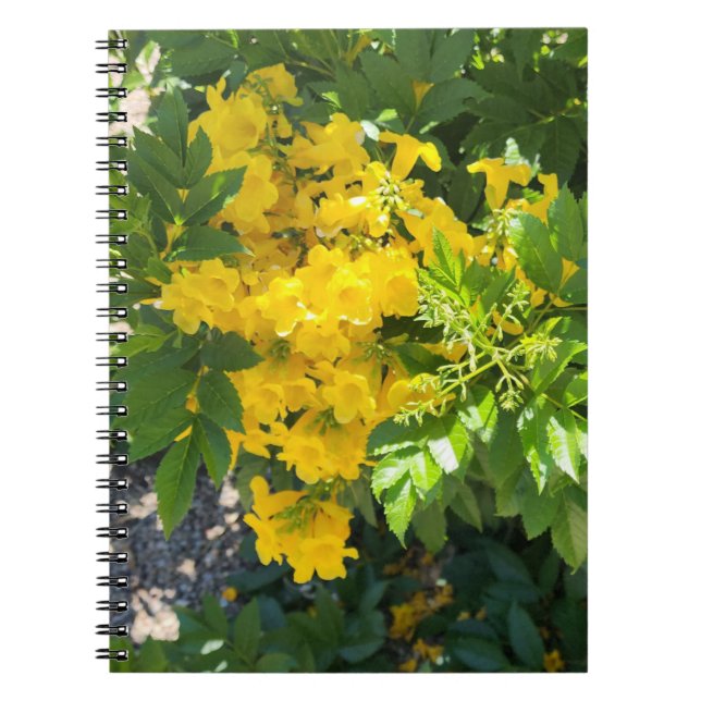 Caderno Espiral Desert Bloom (Frente)