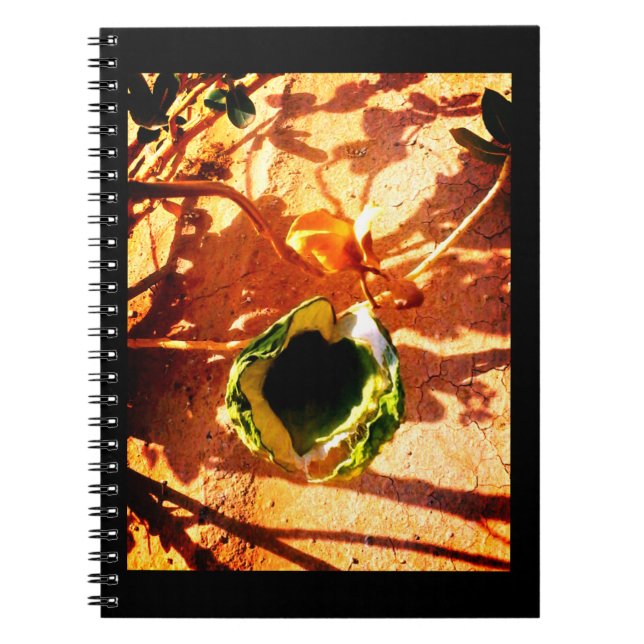 Caderno Espiral Desert Love (Frente)