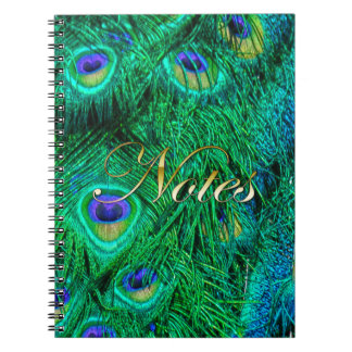 Caderno Espiral Design de Fotografia de Penas de Peacock Radiante
