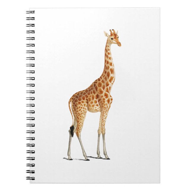 Caderno Espiral Design de Ilustração de Girafa para Sala de Crianç (Frente)