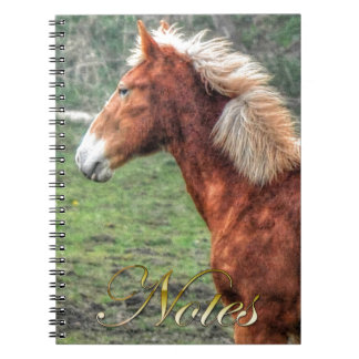 Caderno Espiral Design do Jovem Palomino Colt Horse-lover