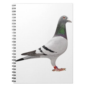 Caderno Espiral design do pombo