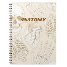 Design Estético Médico Esqueleto Anatomia Bege