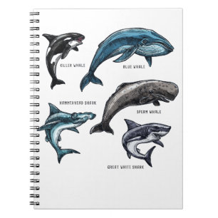 Caderno Espiral Design para adultos com vida marinha de baleias e 