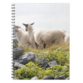 Caderno Espiral Designs Quirky - Ovinos em um campo