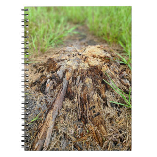 Caderno Espiral Deus é Amor