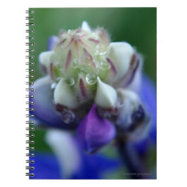 Caderno Espiral Dew Dappled Lupine