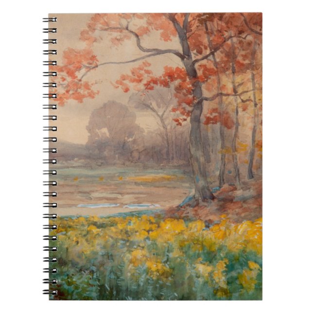 Caderno Espiral Dia das Cinzas Amarelas, 1911 (Frente)