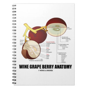 Caderno Espiral Diagrama científico da anatomia da baga da uva