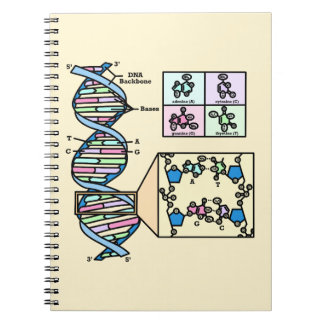 Caderno Espiral Diagrama de DNA