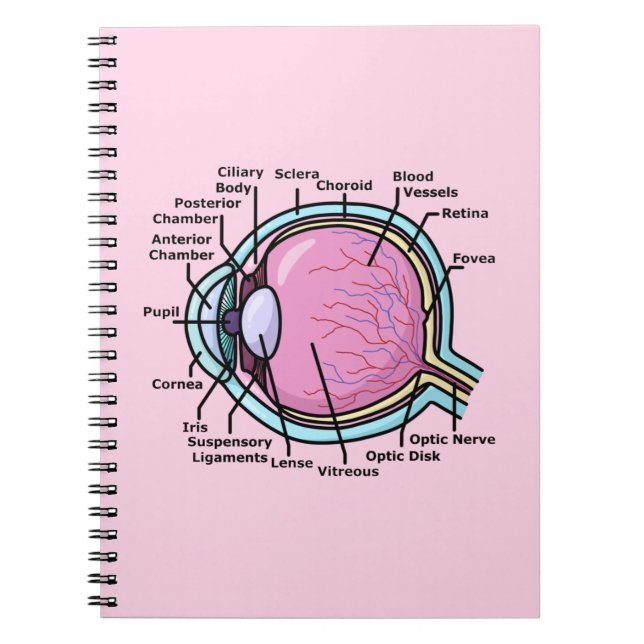 Caderno Espiral Diagrama ocular (Frente)