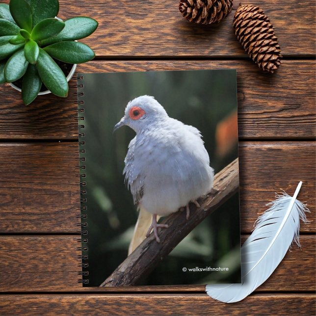 Caderno Espiral Diamond Dove in Spotlight (Diamond Dove in the Spotlight Journal Cover Photo)