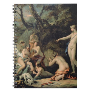Caderno Espiral Diana e Callisto