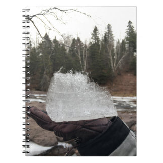 Caderno Espiral Diário