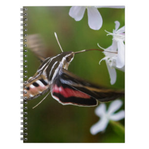 Caderno Espiral Diário de cabos de gusa