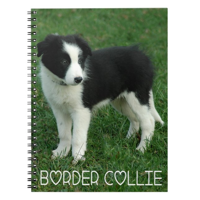 Caderno Espiral Diário de Cachorro Collie Puppy (Frente)