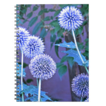 diário de escrevendo