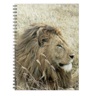 Caderno Espiral Diário de Leão Masculino