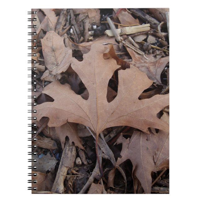 Caderno Espiral Diário de outono (Frente)