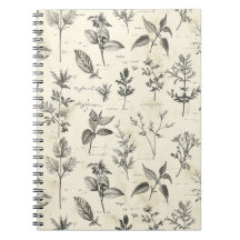 Diário do escritor diário