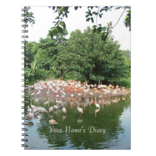 Caderno Espiral diário do flamingo Flock