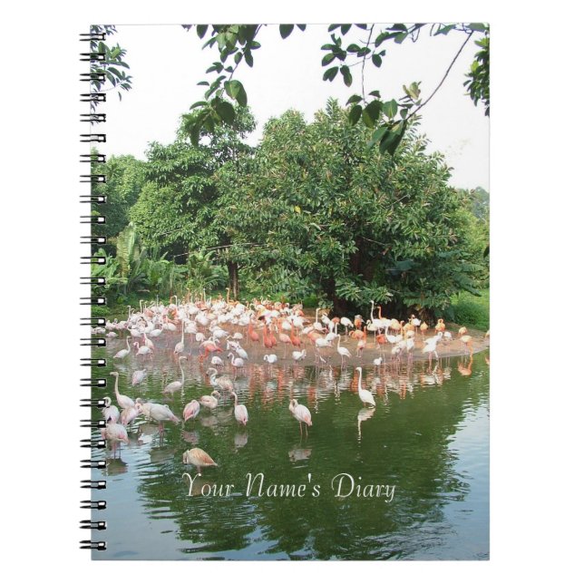 Caderno Espiral diário do flamingo Flock (Frente)