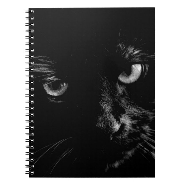 Caderno Espiral Diário do gato preto (Frente)