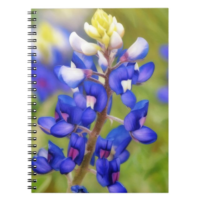Caderno Espiral Diário Fechar Flor do Texas Bluebonnet (Frente)