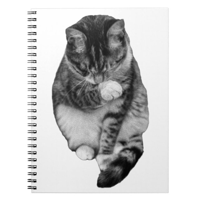 Caderno Espiral Diário Gentle Hush (Frente)