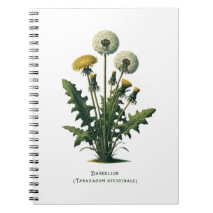 Caderno Espiral Diário Herbal do Dente-de-Leão Amarelo