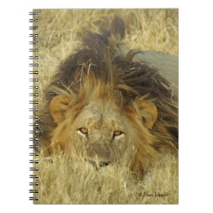 Caderno Espiral Diário masculino do leão