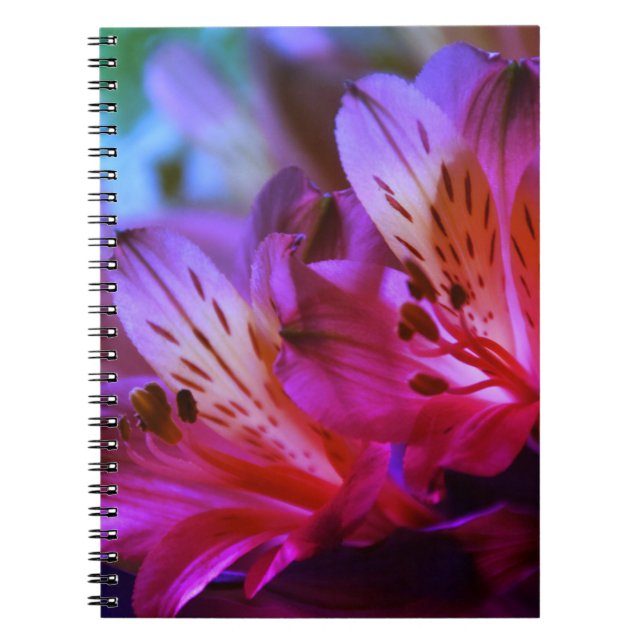 Caderno Espiral Diário ou notebook com lírios (Frente)