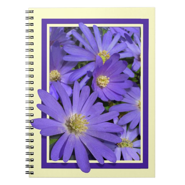 Caderno Espiral Diário personalizado Daisy Notebook Daisy Flower (Frente)