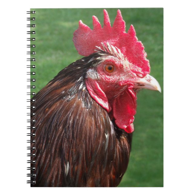 Caderno Espiral Diário Rooster (Frente)