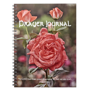 Caderno Espiral Diário Rosa Rosa Rosa Cor-de-Rosa Esbranquiçada Sa