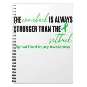 Caderno Espiral Dificuldades na medula espinhal Sensibilização Fri