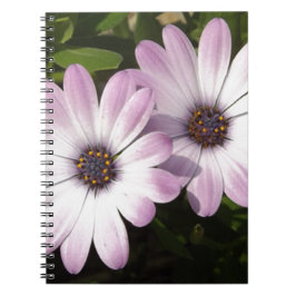 Caderno Espiral Disias Roxas
